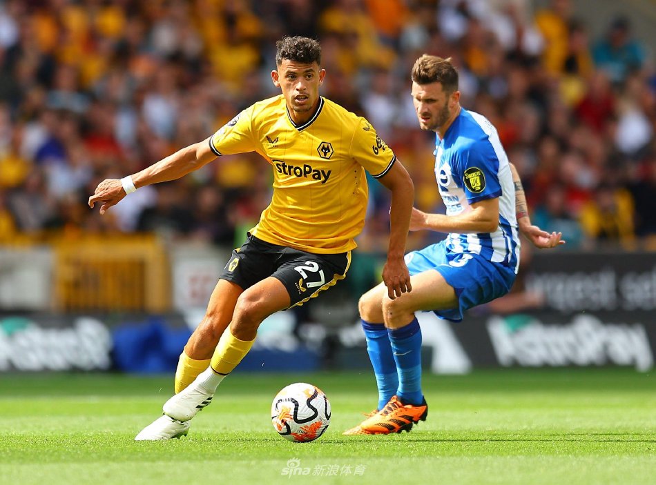 运动员在高 运动员在高